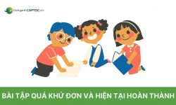 Bài tập quá khứ đơn và hiện tại hoàn thành có đáp án