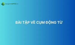 Bài tập về cụm động từ tiếng Anh có đáp án cụ thể