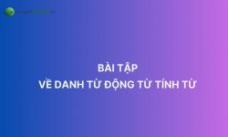 Tổng hợp bài tập về danh từ động từ tính từ kèm đáp án chi tiết