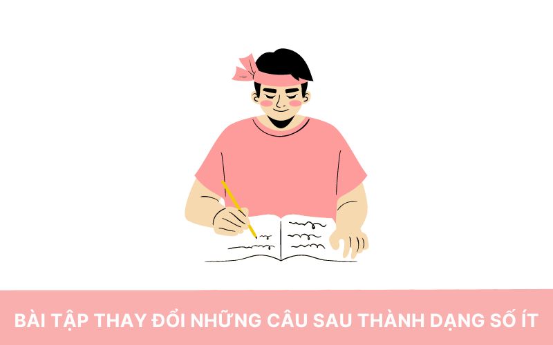 Bài tập 3: Thay đổi những câu sau thành dạng số ít