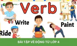 Tổng hợp bài tập về động từ lớp 4 có đáp án chi tiết