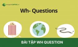 Tổng hợp bài tập wh question thường gặp nhất