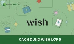 Cấu trúc và cách dùng wish lớp 9 tiếng Anh