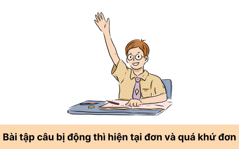 Bài tập câu bị động thì hiện tại đơn và quá khứ đơn