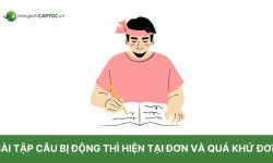 Bài tập câu bị động thì hiện tại đơn và quá khứ đơn