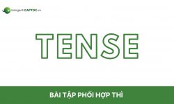 Tổng hợp bài tập phối hợp thì tiếng Anh đầy đủ, có đáp án