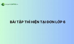 Bài tập thì hiện tại đơn lớp 6 có đáp án chi tiết