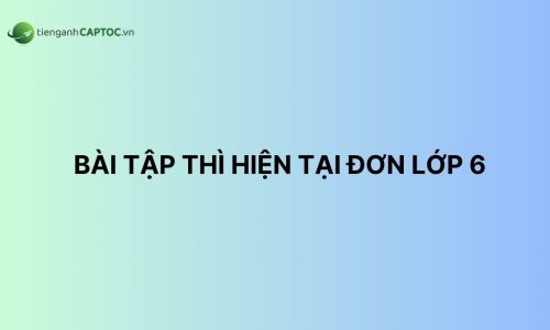 Bài tập thì hiện tại đơn lớp 6 có đáp án chi tiết