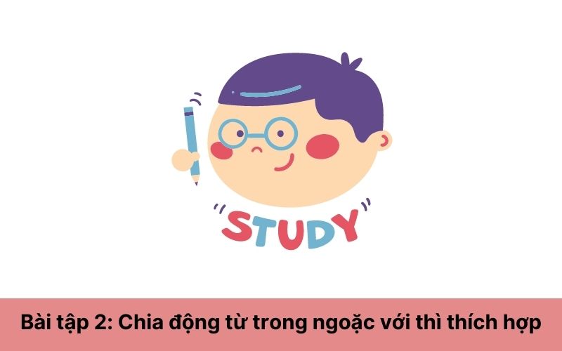 Bài tập 2: Chia động từ trong ngoặc với thì thích hợp