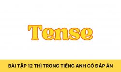 Bài tập 12 thì trong tiếng Anh có đáp án