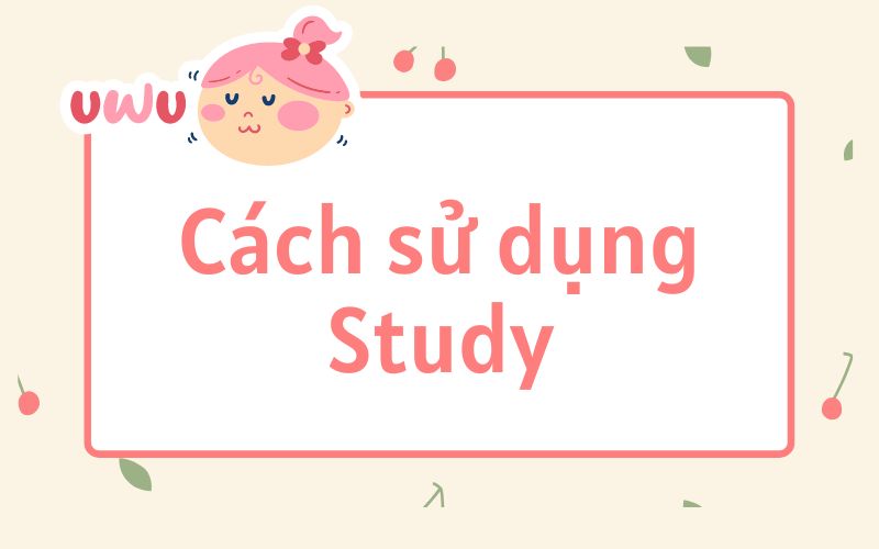 Cách sử dụng Study