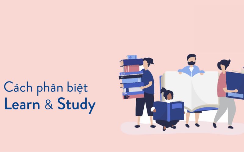 Phân biệt learn và study