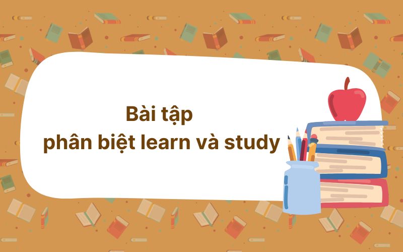 Bài tập phân biệt learn và study tiếng Anh