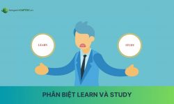 5 phút phân biệt learn và study trong tiếng Anh