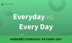 Phân biệt everyday và every day dễ hiểu nhất